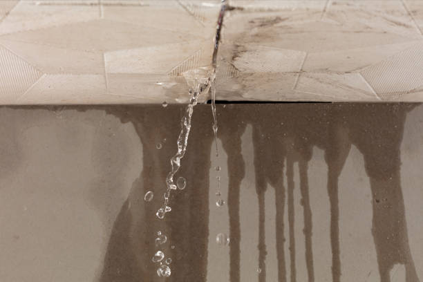 Professional Water Extraction technician working in Stockton, IL